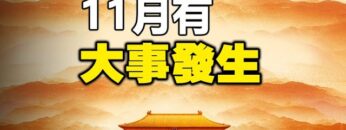 [ID: oRVjG1BTQ9Y] Youtube Automatic