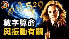 [ID: IIE8suCcnBw] Youtube Automatic