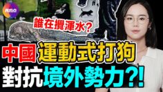 [ID: uCfSAffAlPE] Youtube Automatic