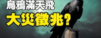 [ID: AkJ1PzCxUCs] Youtube Automatic