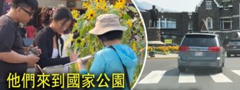 [ID: OpPKgGQZTe0] Youtube Automatic