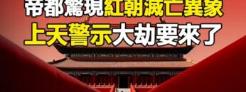 [ID: EHuC71v5J00] Youtube Automatic