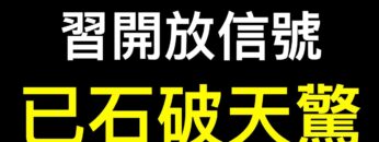 [ID: bljxKm730ZQ] Youtube Automatic