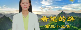 [ID: wb535zD86Q4] Youtube Automatic