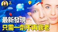 [ID: YuiWfFHXiUY] Youtube Automatic