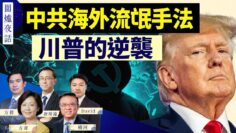 [ID: T-9cwAJrBNU] Youtube Automatic