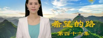 [ID: Gdvd9XaRtKw] Youtube Automatic