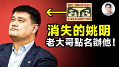 [ID: 6cZpIdfz7JM] Youtube Automatic