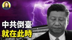 [ID: PnJei5Mvffs] Youtube Automatic