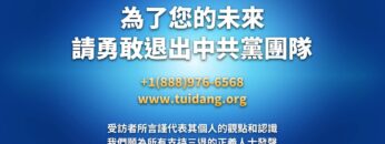 [ID: -vcDkxJVQmI] Youtube Automatic