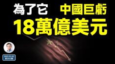 私密：[ID: 7sQSAqvqmzg] Youtube Automatic