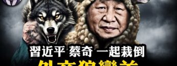 私密：[ID: daT7QlaitDE] Youtube Automatic