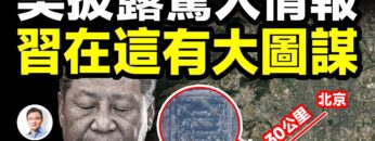 [ID: MGG_LbP4Xg8] Youtube Automatic