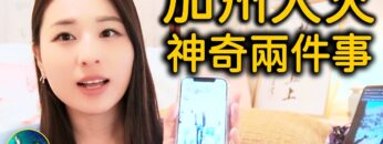 [ID: q5iO53IbQFM] Youtube Automatic