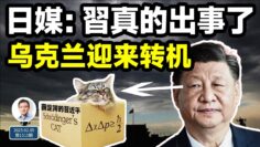 私密：[ID: ko-tlkN-X4s] Youtube Automatic