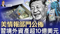 美情报部门揭露，习境外资产超10亿美元；中共黑科技：深海电缆切割；肯尼迪遇刺案解密，有什么惊天大瓜？（政論天下第1573集 20250322）天亮时分