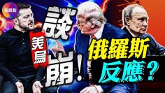 [ID: Duf9DF8s3Ic] Youtube Automatic