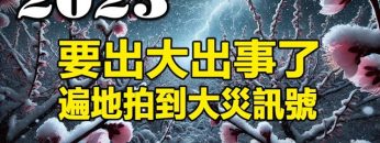 [ID: hLLftA20zP8] Youtube Automatic