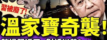 私密：[ID: 2-uiVH45Nt8] Youtube Automatic