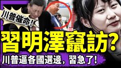 [ID: PNwssLMTtxg] Youtube Automatic