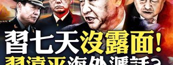 [ID: 0aHXg7h1hQU] Youtube Automatic