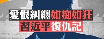 [ID: bSc_sVsmK9c] Youtube Automatic