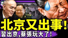 私密：[ID: DmOpagHuo8I] Youtube Automatic