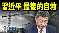 私密：[ID: HK28OSgG5GY] Youtube Automatic