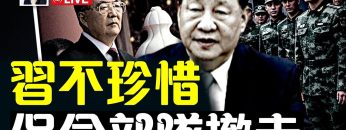 [ID: mpdp8X7YzPQ] Youtube Automatic