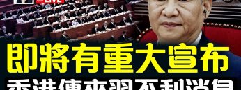 私密：[ID: QVYUuPM6IzQ] Youtube Automatic