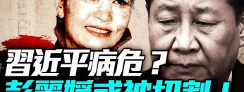 [ID: RsrkkKfrX_8] Youtube Automatic