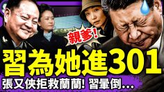 私密：[ID: 2ce1lR3whsA] Youtube Automatic