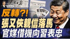 [ID: CRcSJtj1v4g] Youtube Automatic