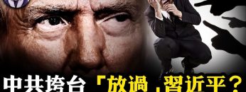 [ID: DBngebFLk-o] Youtube Automatic