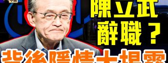 [ID: VO4h0cm_AfM] Youtube Automatic