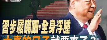 [ID: zC4RFaZX43E] Youtube Automatic