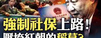 [ID: AzyoV59A8jw] Youtube Automatic