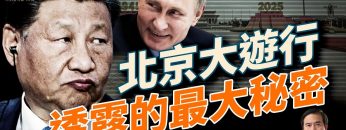 [ID: gNzEc5lTF4o] Youtube Automatic