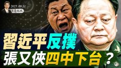 [ID: Vr5-WPdiIdU] Youtube Automatic