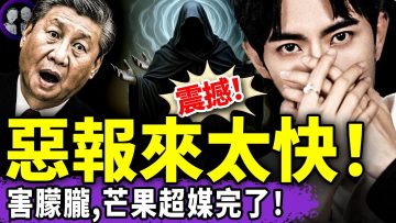 [ID: -CPzL-d9Nik] Youtube Automatic