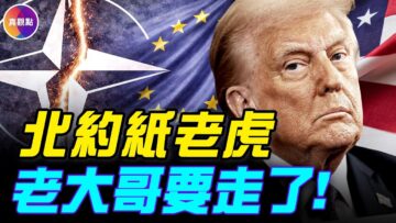 [ID: 9ZSJwllmQ6U] Youtube Automatic