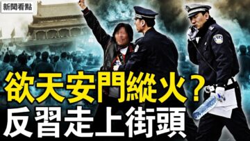 私密：[ID: eolWu2NN0-s] Youtube Automatic