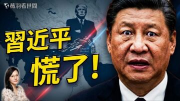 [ID: LASDiM-rOMo] Youtube Automatic