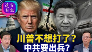 [ID: TLR-VygKelc] Youtube Automatic