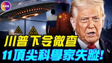 [ID: wfAfB9v5-2M] Youtube Automatic