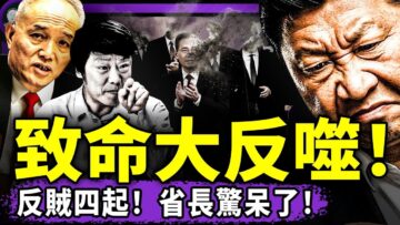 私密：[ID: 5DwUeacEWZA] Youtube Automatic