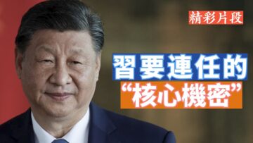 [ID: Q5WrpIvrDqI] Youtube Automatic